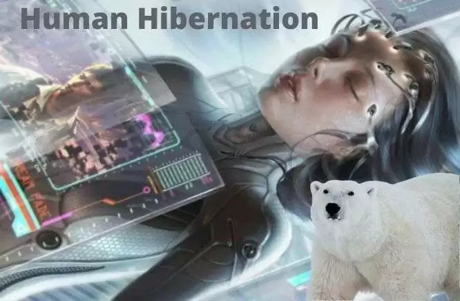 Human Hibernation