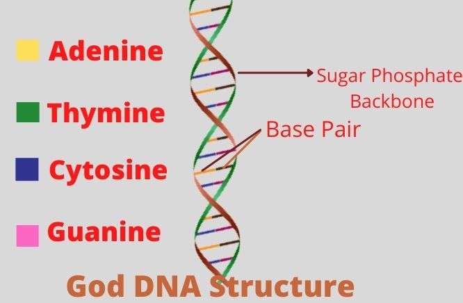 God DNA Helix Structure