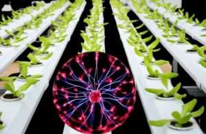 Plasma Technology in Agriculture