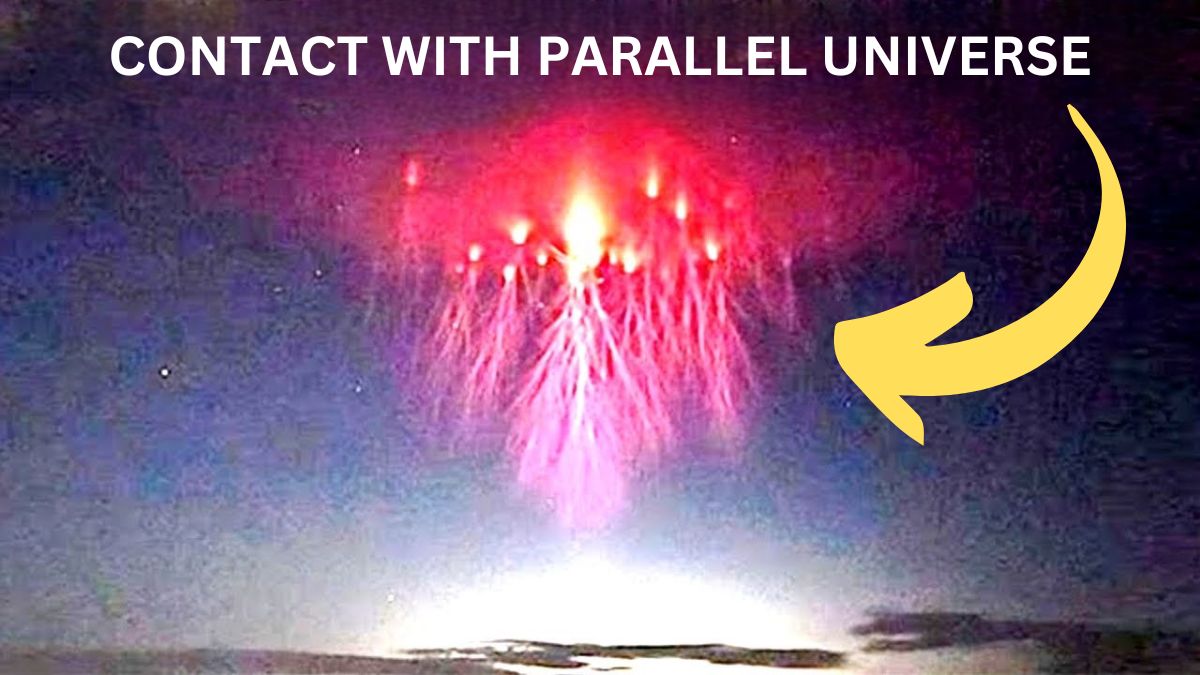 Scientist Says “We have Just Received A Signal From A Parallel Universe”