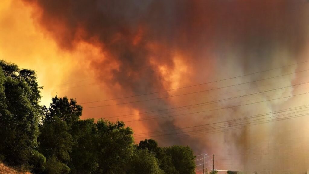 How Wildfires Give Birth to Fatal Firenadoes (and How to Stop Them)
