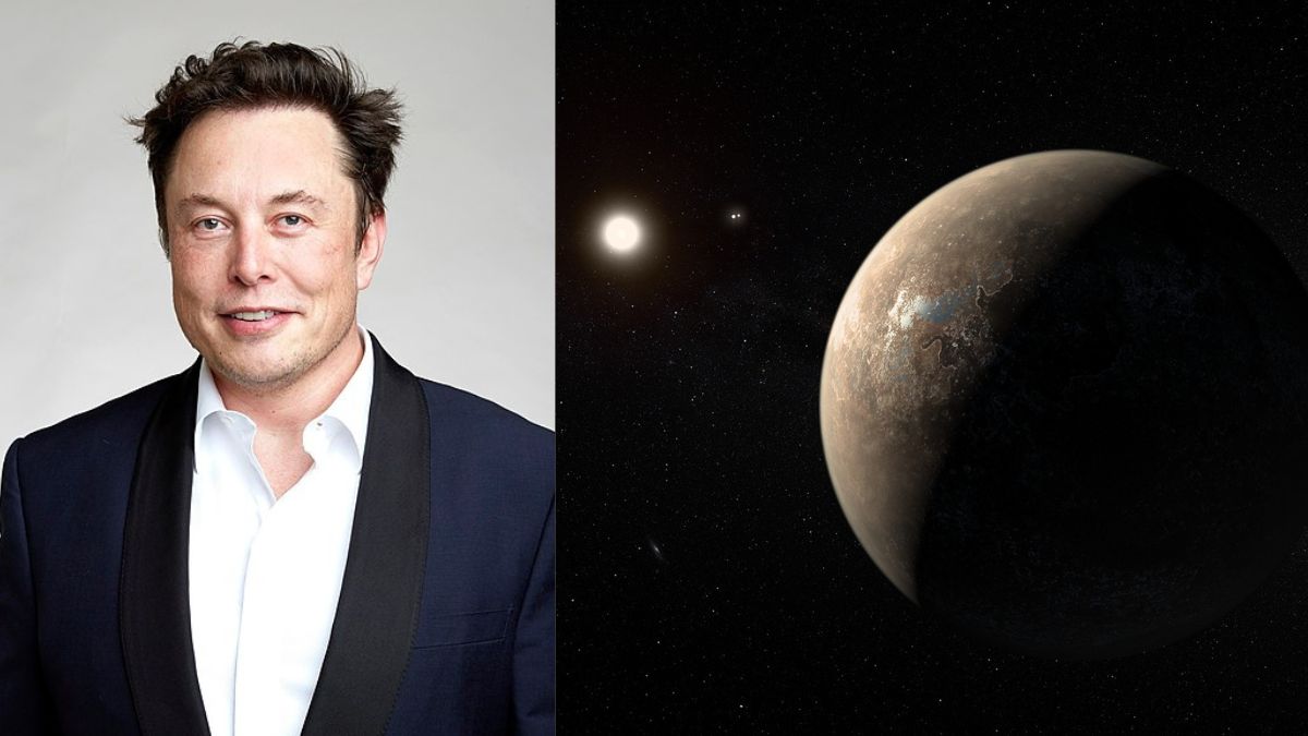 Elon Musk Reacts on an Earth-Like Planet Proxima Centauri b orbiting the star Proxima Centauri